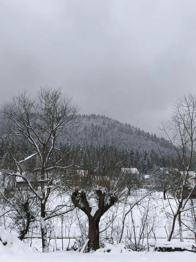 Садиба Під Чертежиком Kolochava Exterior photo
